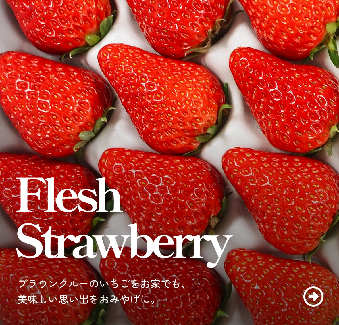 FleshStrawberry.ブラウンクルーのいちごをお家でも、美味しい思い出をおみやげに。