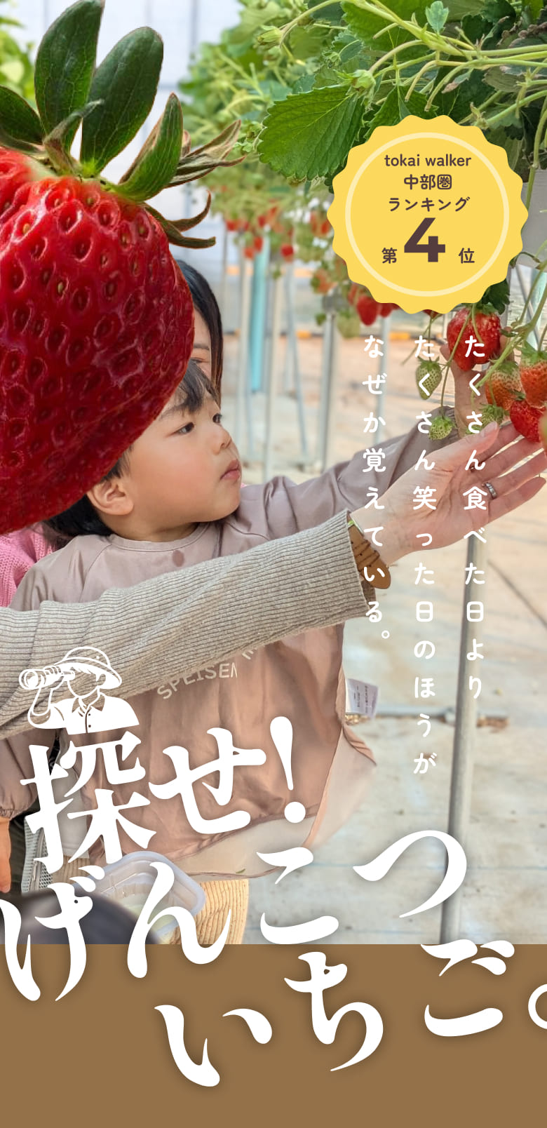 tokai walker中部圏ランキング第4位。たくさん食べた日より、たくさん笑った日のほうが、なぜか覚えている。探せ!げんこついちご。