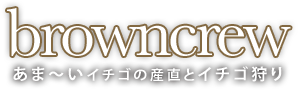 浜松いちご狩り・イチゴ産直のbrowncrew