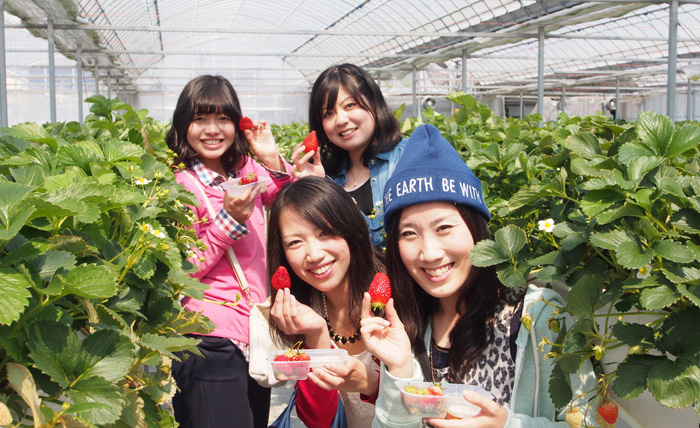 広くて食べやすいイチゴ農園